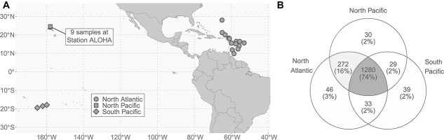 Trichodesmium metaproteomes reflect the differential influence of resource availability across ocean regions.