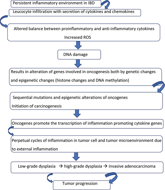 Inflammatory Bowel Disease and Colorectal Cancer: An Eternal Fire in a Beautiful Garden.