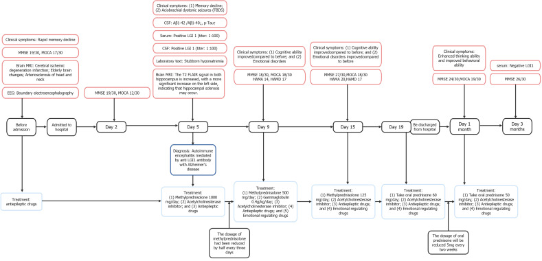 Rare mixed dementia: A case report.