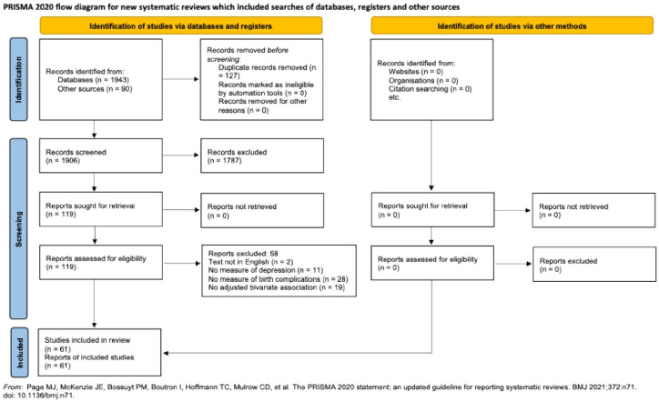 Associations between maternal birth complications and postpartum depressive symptoms: A systematic narrative review and meta-analysis.
