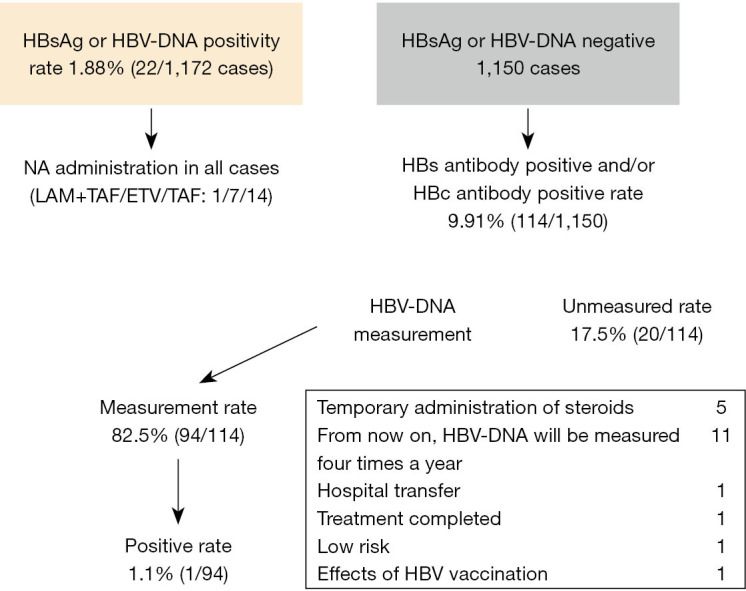 Evaluation of hepatitis B virus reactivation prevention measures in immunosuppressed patients: current status and effectiveness.