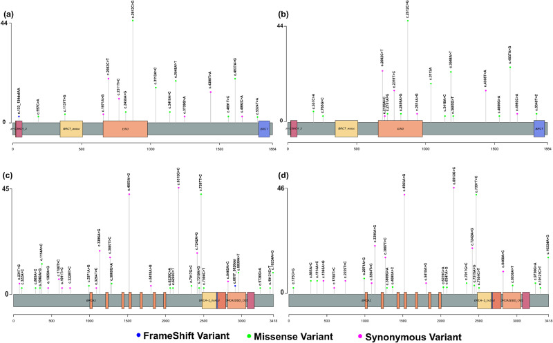 Screening of Germline BRCA1 and BRCA2 Variants in Nigerian Breast Cancer Patients.