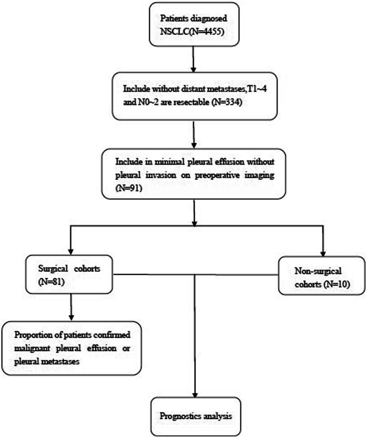 Prognostic Value of Surgical Resection for Non-small-cell Lung Cancer Patients Comorbid With Minimal Pleural Effusion.