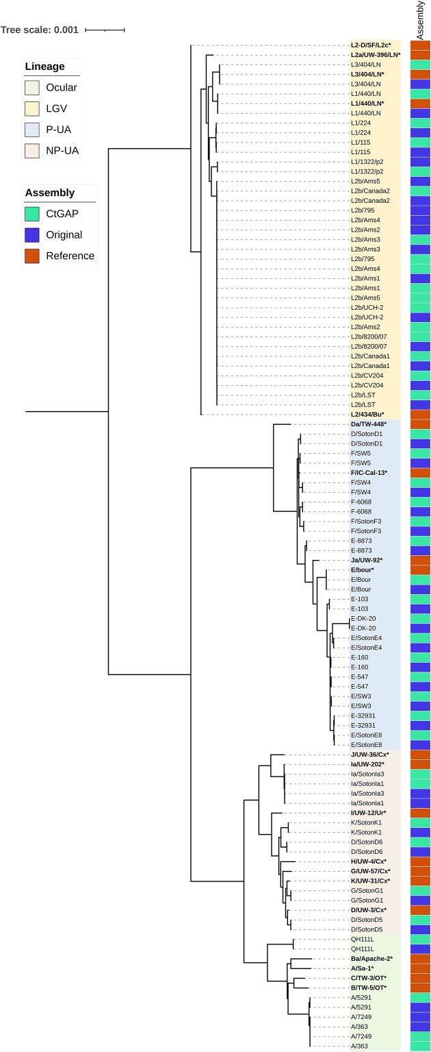 Whole-genome automated assembly pipeline for <i>Chlamydia trachomatis</i> strains from reference, <i>in vitro</i> and clinical samples using the integrated CtGAP pipeline.