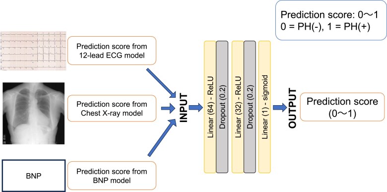 An ensemble learning model for detection of pulmonary hypertension using electrocardiogram, chest X-ray, and brain natriuretic peptide.
