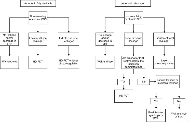 Dealing with the Verteporfin Shortage: Treatment Options and Outcomes in Patients with Chronic and Non-Resolving Central Serous Chorioretinopathy.