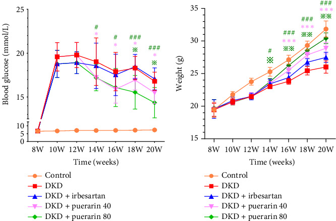 Puerarin Attenuates Podocyte Damage in Mice With Diabetic Kidney Disease by Modulating the AMPK/Nrf2 Pathway.