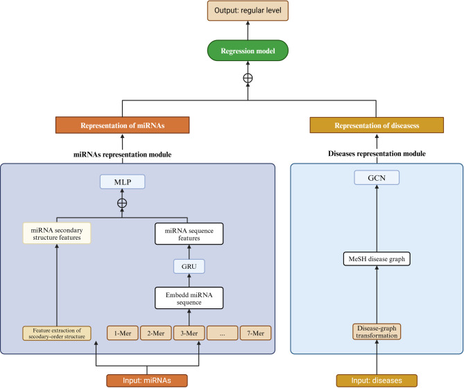 Establishing a GRU-GCN coordination-based prediction model for miRNA-disease associations.