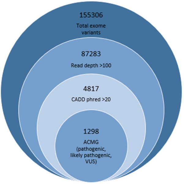 Identification of deleterious variants associated with male infertility genes in a cohort of idiopathic hypospermatogenesis patients.