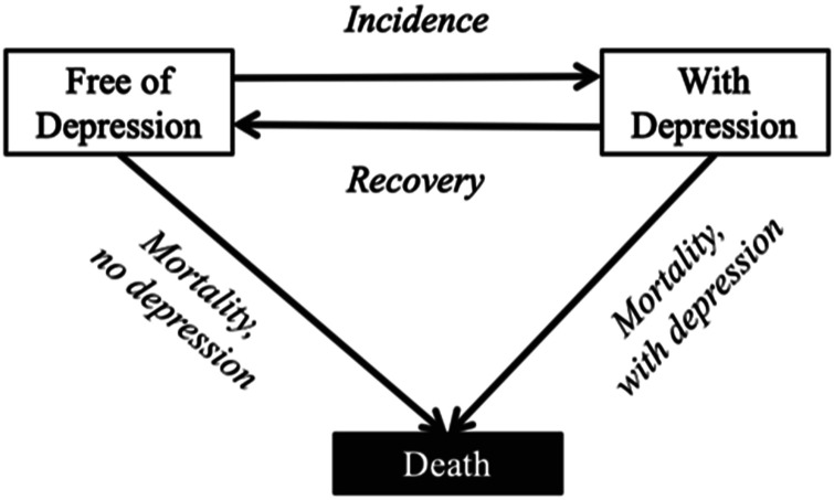 Estimating the Sex Gap in Depression-Free Life Expectancy Among Widowed Americans Aged 50 and Older: An Application Using the Interpolated Markov Chain Approach.