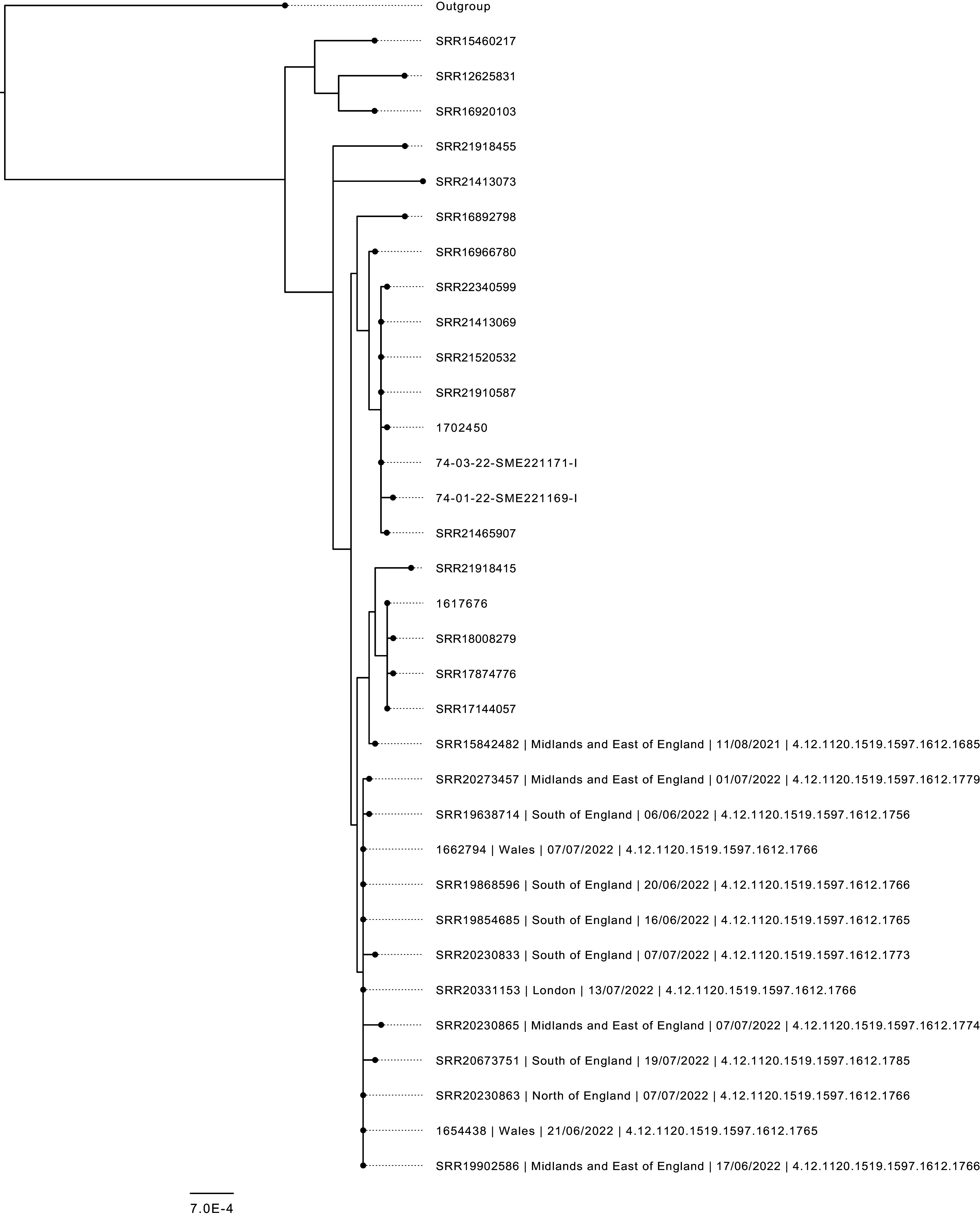 An outbreak of Shiga toxin-producing <i>Escherichia coli</i> serotype O103:H2 associated with unpasteurized soft cheese, England and Wales, 2022.