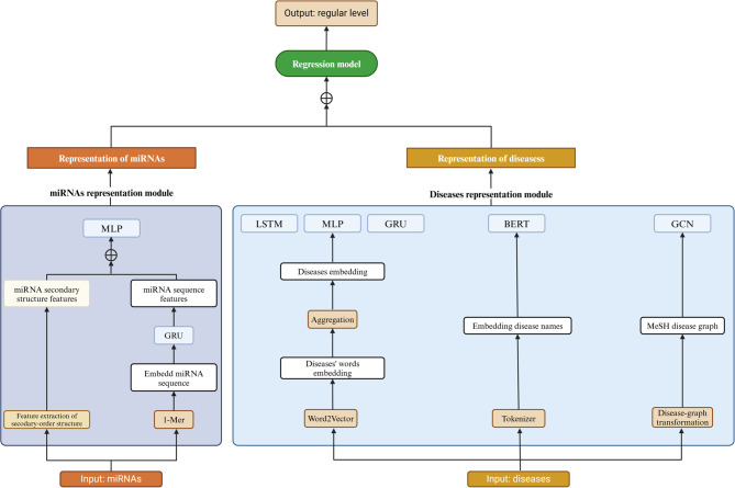 Establishing a GRU-GCN coordination-based prediction model for miRNA-disease associations.