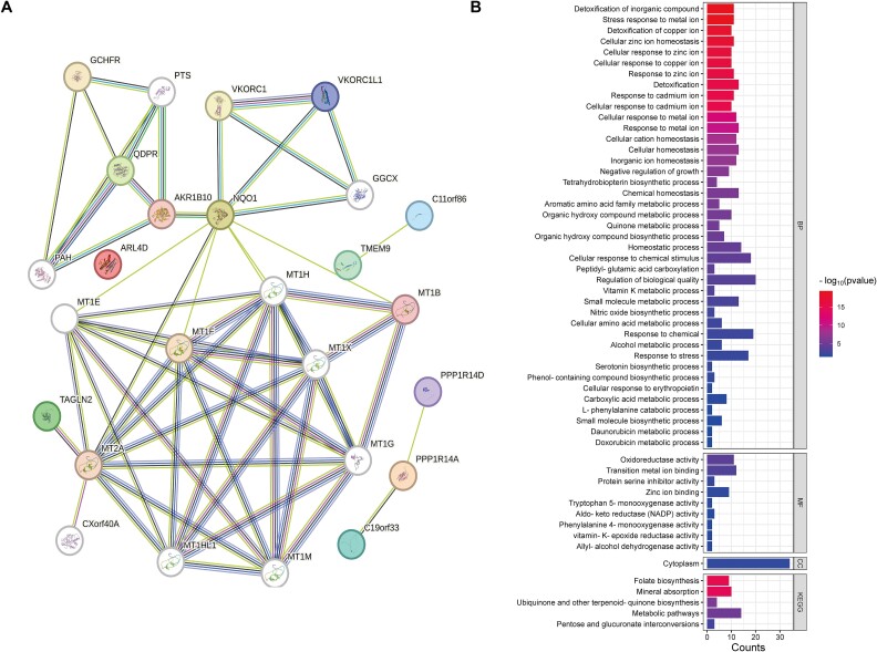 Exploring novel drug targets for erectile dysfunction through plasma proteome with genome.