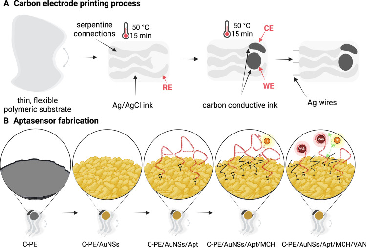 Electrochemical aptasensor for the selective detection of vancomycin based on nanostructured “in-lab” printed electrodes