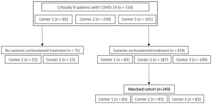 Posaconazole for Prevention of COVID-19-Associated Pulmonary Aspergillosis in Mechanically Ventilated Patients: A European Multicentre Case-Control Study (POSACOVID).