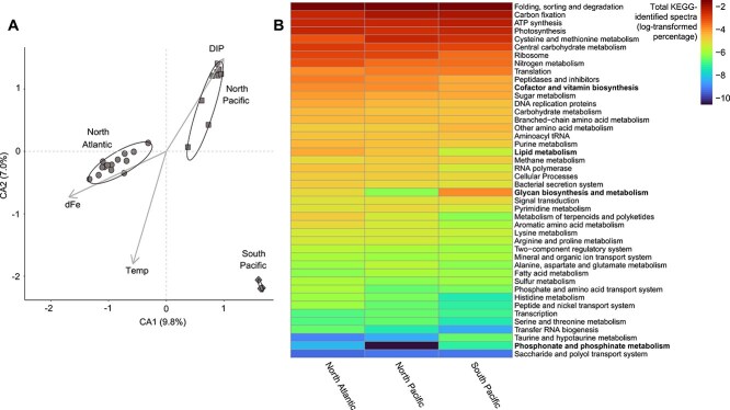 Trichodesmium metaproteomes reflect the differential influence of resource availability across ocean regions.