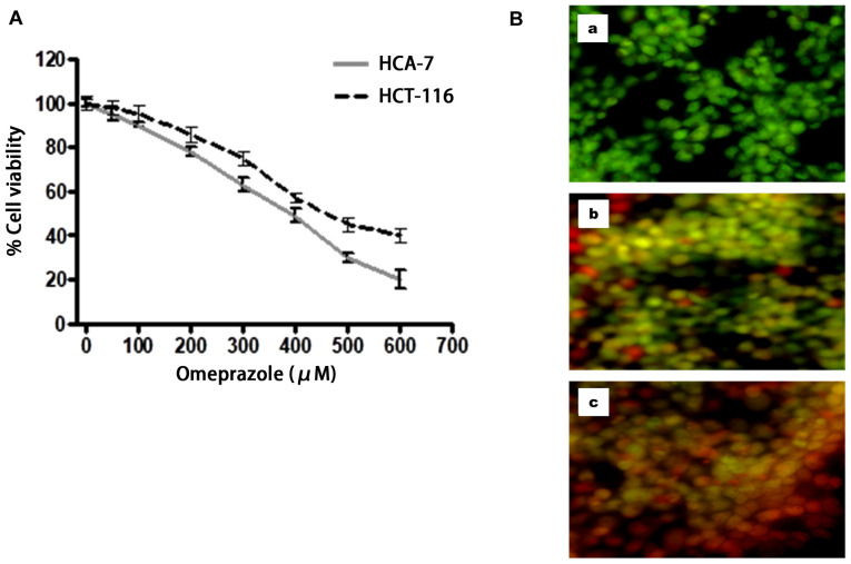 [Corrigendum] Anti‑carcinogenic properties of omeprazole against human colon cancer cells and azoxymethane‑induced colonic aberrant crypt foci formation in rats.
