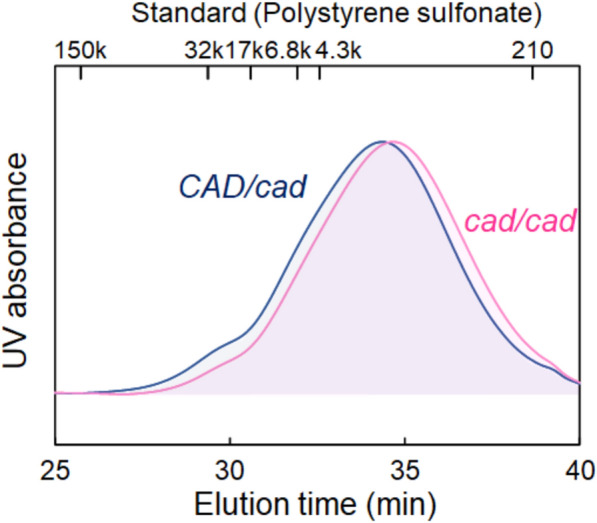 Synergetic effect of fungal pretreatment and lignin modification on delignification and saccharification: a case study of a natural lignin mutant in mulberry