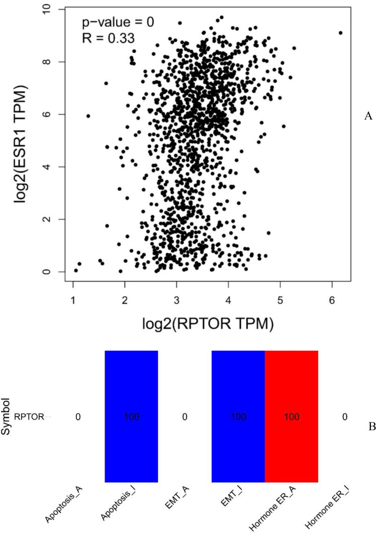 Non-Luminal Disease Score for Everolimus in Patients with Hormone Receptor‑positive and Human Epidermal Growth Factor Receptor 2-Negative Advanced Breast Cancer: A Multicenter and Retrospective Study.