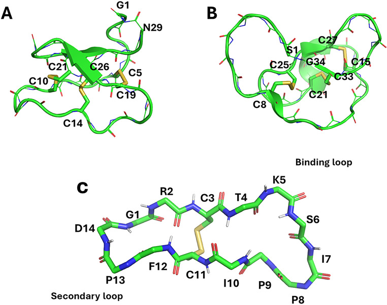 Molecular Chimera in Cancer Drug Discovery: Beyond Antibody Therapy, Designing Grafted Stable Peptides Targeting Cancer.