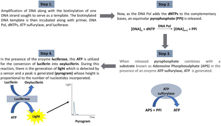 Recent advances in the methods and clinical applications of next-generation sequencing in genomic profiling and precision cancer therapy.