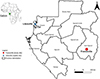 Bioassay tests reveal for the first time pyrethroid resistance in Aedes mosquitoes from Franceville, southeast Gabon, Central Africa.