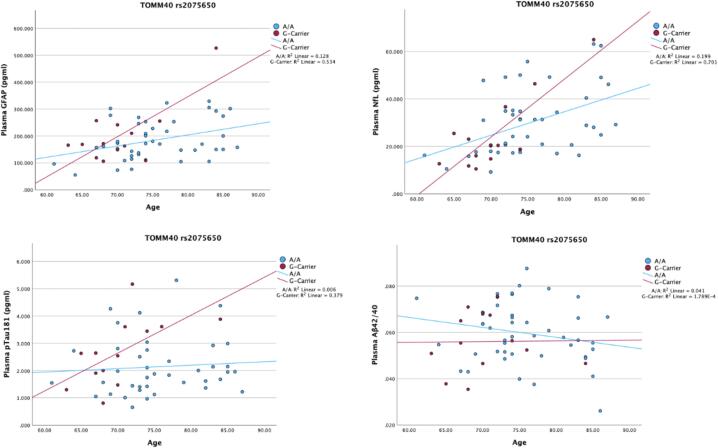 TOMM40 may mediate GFAP, neurofilament light Protein, pTau181, and brain morphometry in aging