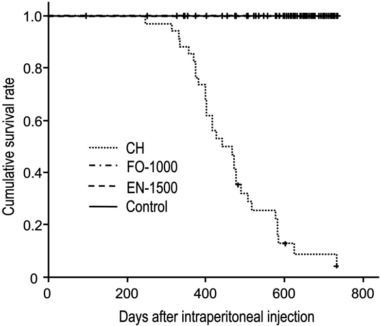 Mesothelioma carcinogenesis of chrysotile and forsterite compared and validated by intraperitoneal injection in rat.