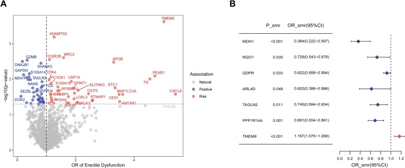 Exploring novel drug targets for erectile dysfunction through plasma proteome with genome.