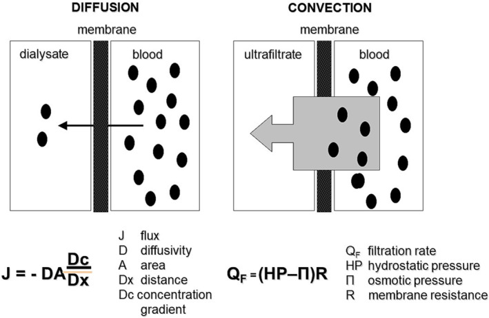 The changing face of dialyzer membranes and dialyzers.
