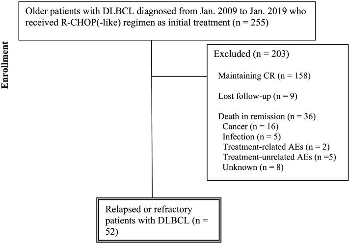 Poor outcome of older patients with diffuse large B-cell lymphoma after progression.