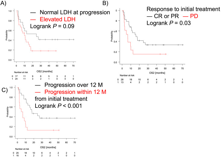 Poor outcome of older patients with diffuse large B-cell lymphoma after progression.