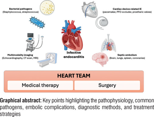 Complex Infective Endocarditis: Uncommon Presentations and Their Multisystem Complications - A Case Series.