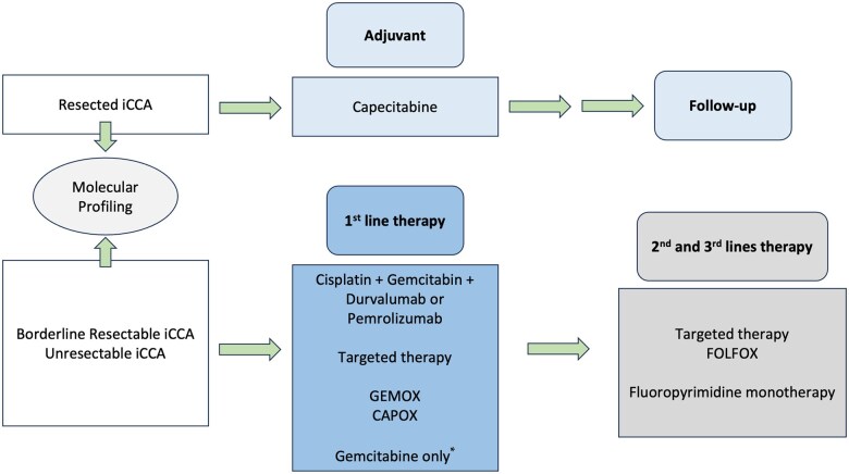Management of intrahepatic cholangiocarcinoma: a review for clinicians.