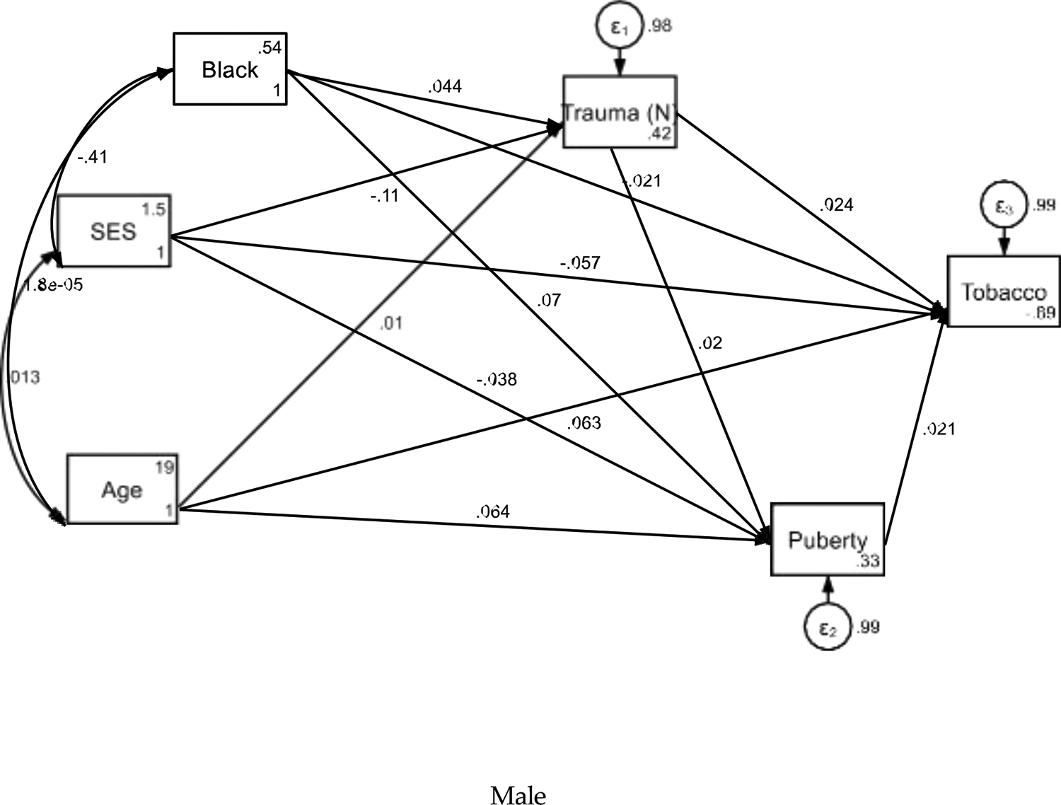 Trauma and Early Puberty May Be Stronger Predictors of Early Tobacco Initiation in Girls Compared to Boys.