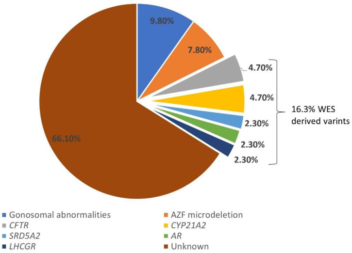 Identification of deleterious variants associated with male infertility genes in a cohort of idiopathic hypospermatogenesis patients.