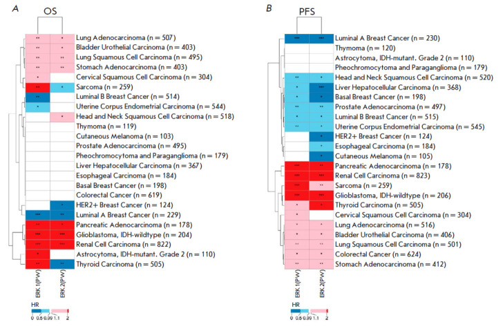 Activation of the ERK1/2 Molecular Pathways and Its Relation to the Pathogenicity of Human Malignant Tumors.