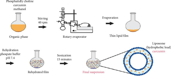 Development of Curcumin Encapsulated Liposomes in Chlorhexidine-Loaded Organogel Using Ternary Phase Systems for Treatment of Omphalitis in Infants.