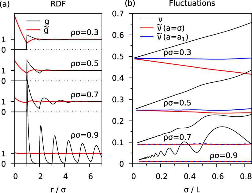 How to Compute Density Fluctuations at the Nanoscale.