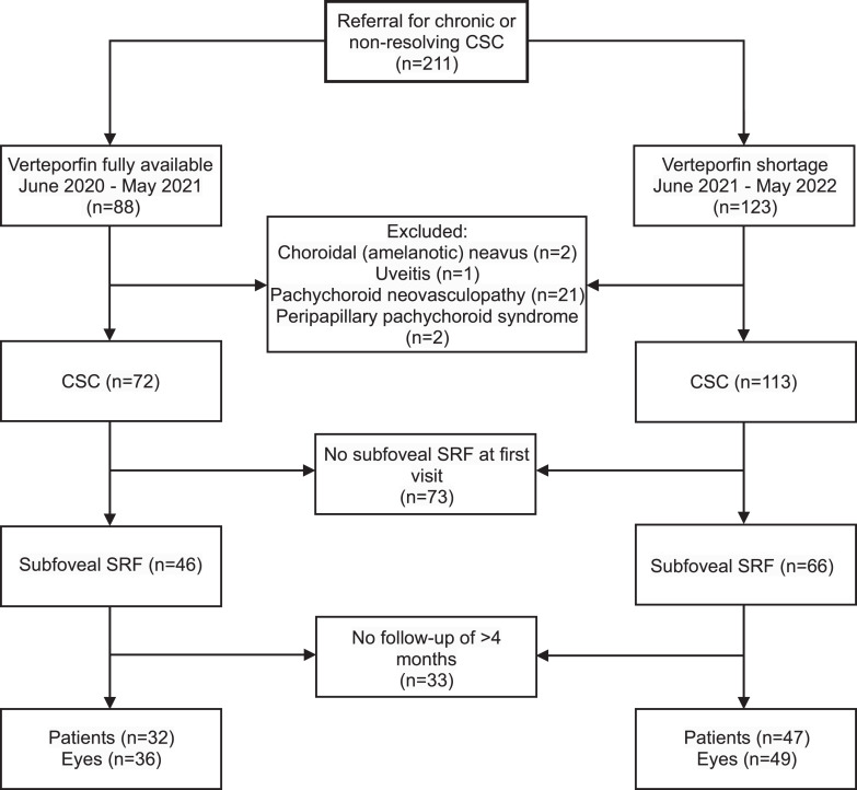 Dealing with the Verteporfin Shortage: Treatment Options and Outcomes in Patients with Chronic and Non-Resolving Central Serous Chorioretinopathy.