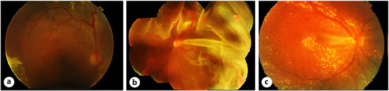 Abstract Image