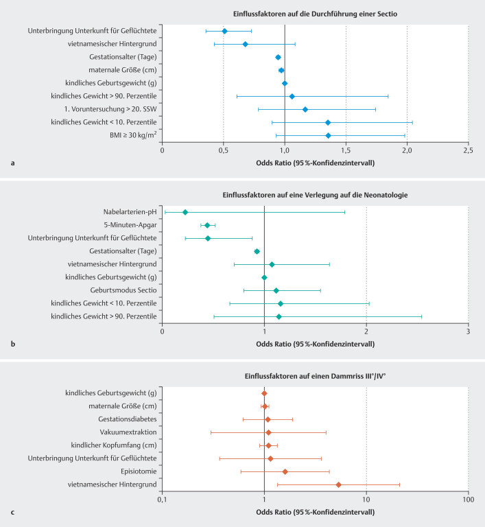 Do the Antenatal Care and Perinatal Outcomes of Women with a Vietnamese Migration Background Differ from Those of Other Women?: A Retrospective Analysis.