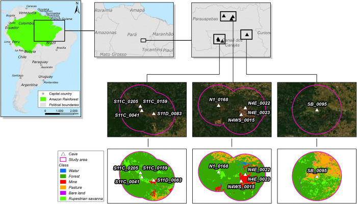 Do you have enough space? Habitat selection of insectivorous cave-dwelling bats in fragmented landscapes of Eastern Amazon.