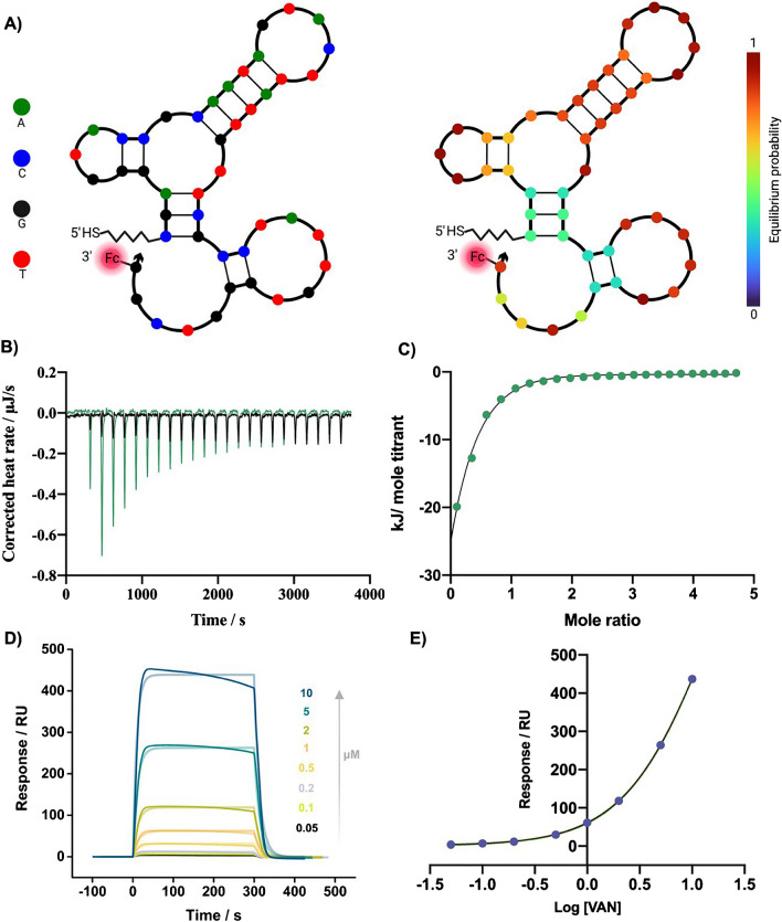 Electrochemical aptasensor for the selective detection of vancomycin based on nanostructured “in-lab” printed electrodes