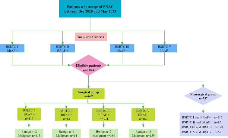 Histopathological findings of 687 thyroid nodules, suspicious for malignancy on ultrasound, with an indeterminate cytopathological diagnosis after the combination of the Bethesda System and <i>BRAF</i> mutation status.