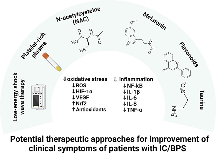 Oxidative Stress and Chronic Inflammation as Partners in Crime in Interstitial Cystitis/Bladder Pain Syndrome.
