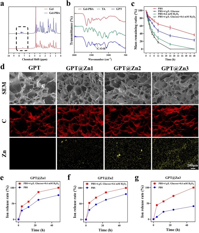 Zn ion-incorporated injected hydrogels with reactive oxygen species and glucose scavenging capacity for diabetic wound healing.