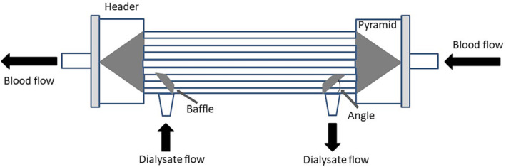 The changing face of dialyzer membranes and dialyzers.