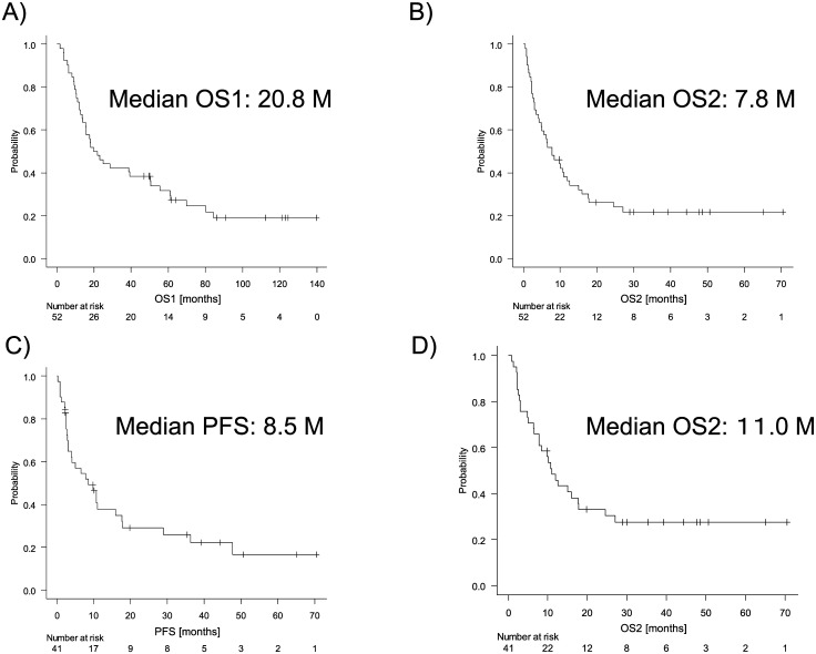 Poor outcome of older patients with diffuse large B-cell lymphoma after progression.