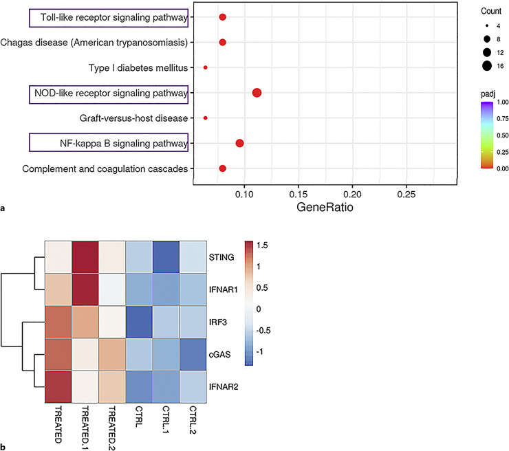 Oxidative Stress and Chronic Inflammation as Partners in Crime in Interstitial Cystitis/Bladder Pain Syndrome.